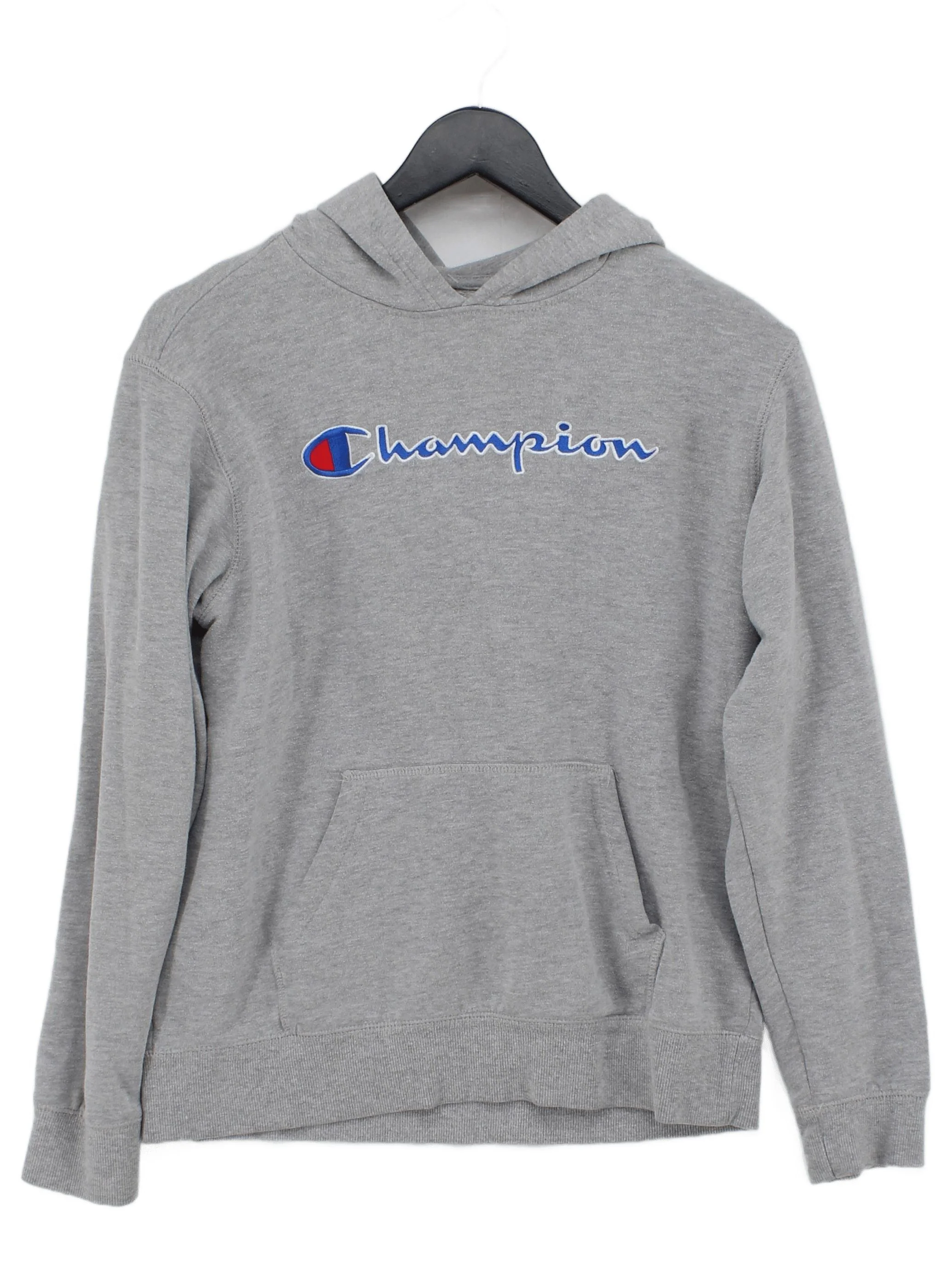Champion Men's Hoodie XL Grey Graphic 100% Other Pullover