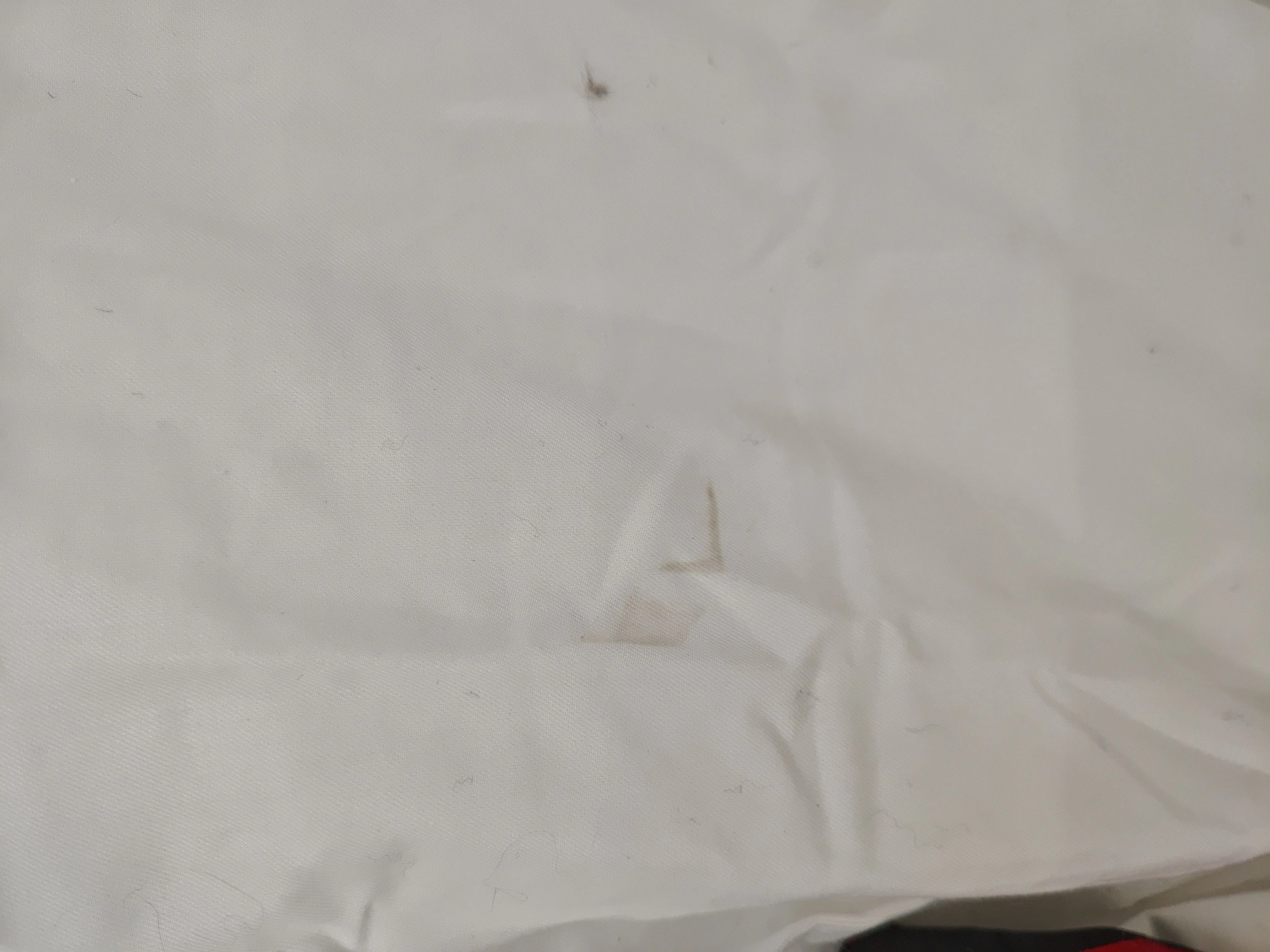 Charles Tyrwhitt Men's Shirt Collar: 16 in White 100% Cotton Basic - Image 5