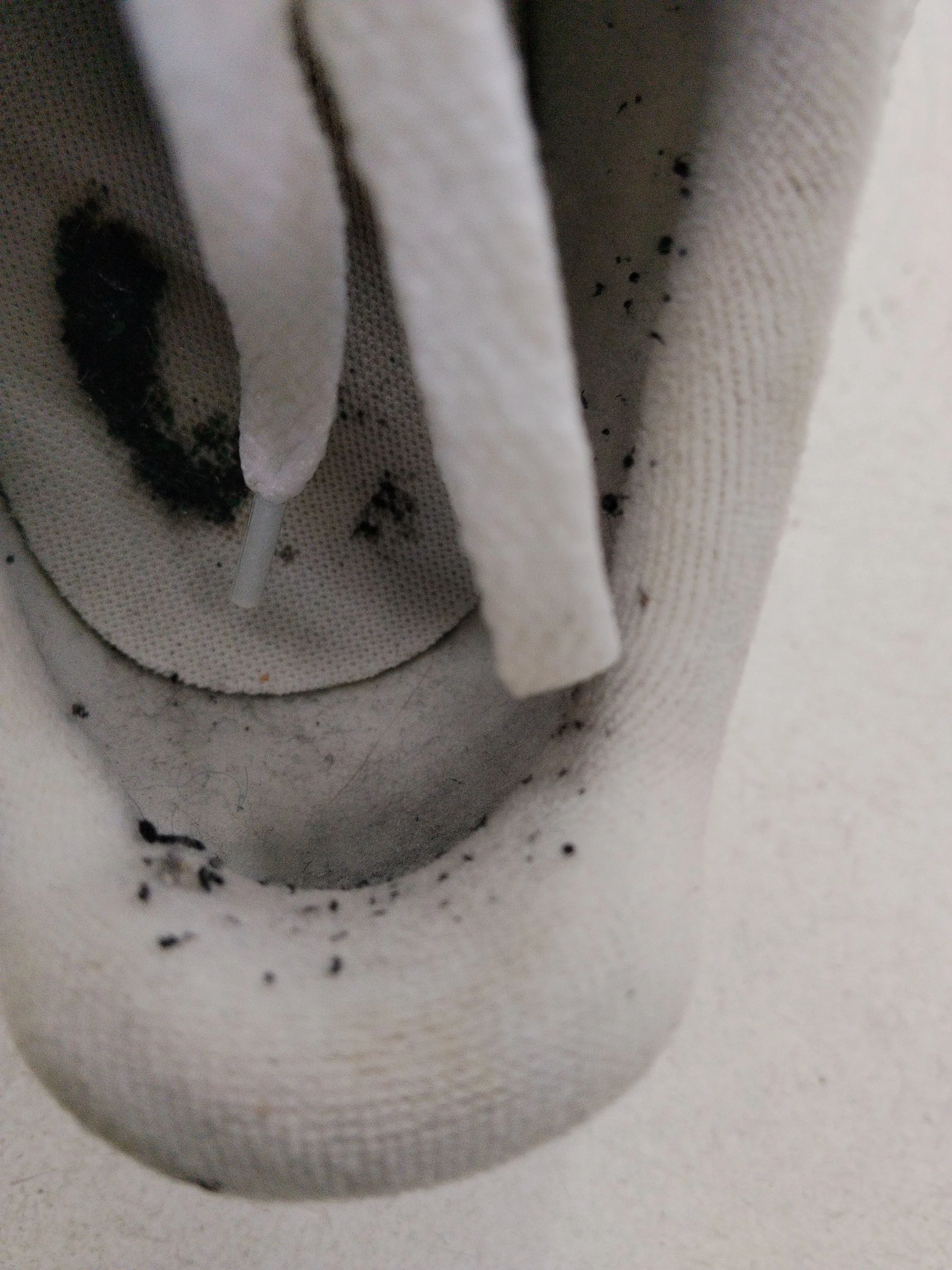 Lacoste Women's Trainers EU39 in White - Image 9
