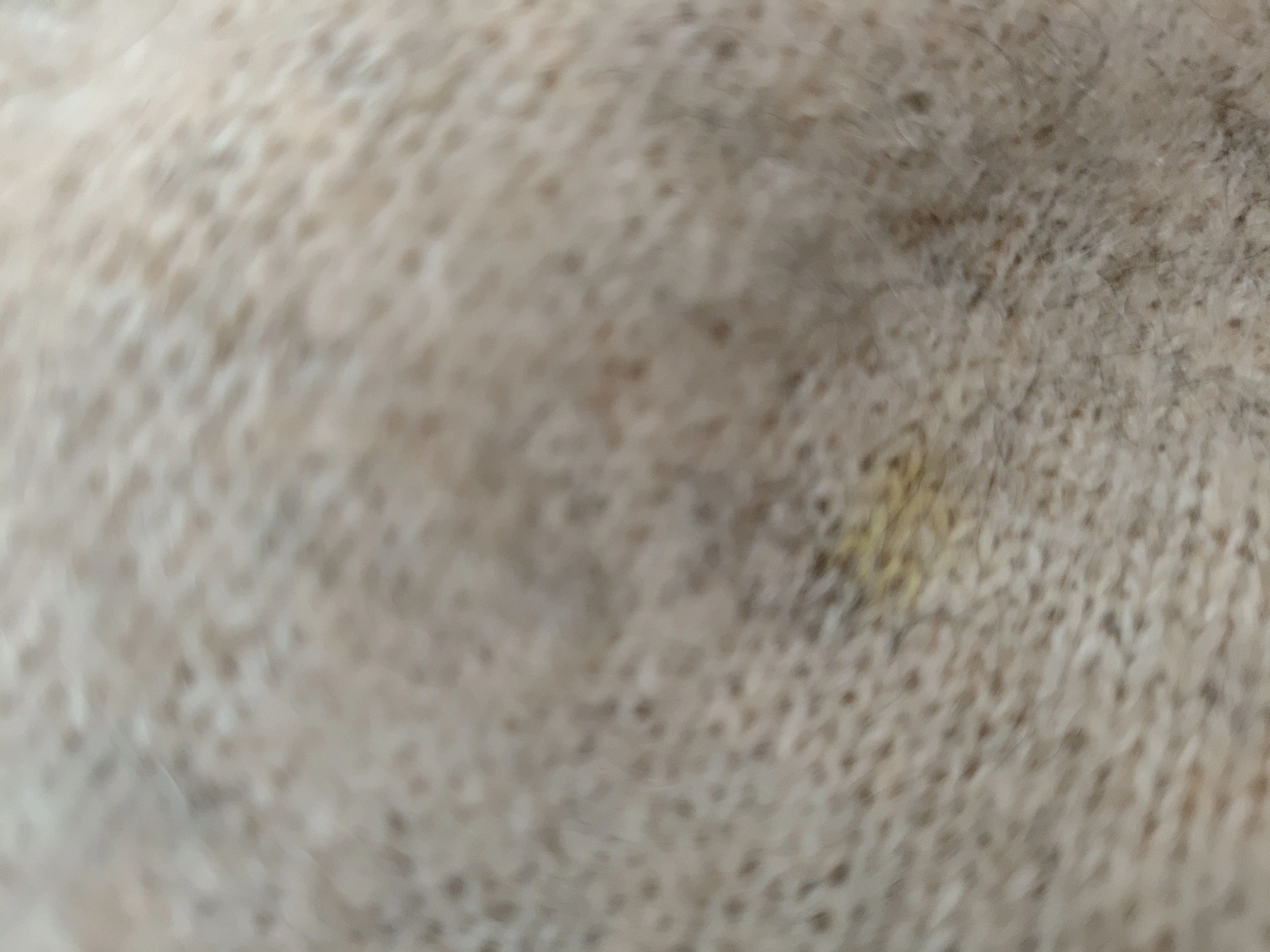 & Other Stories Women's Jumper S Tan Wool - Image 5
