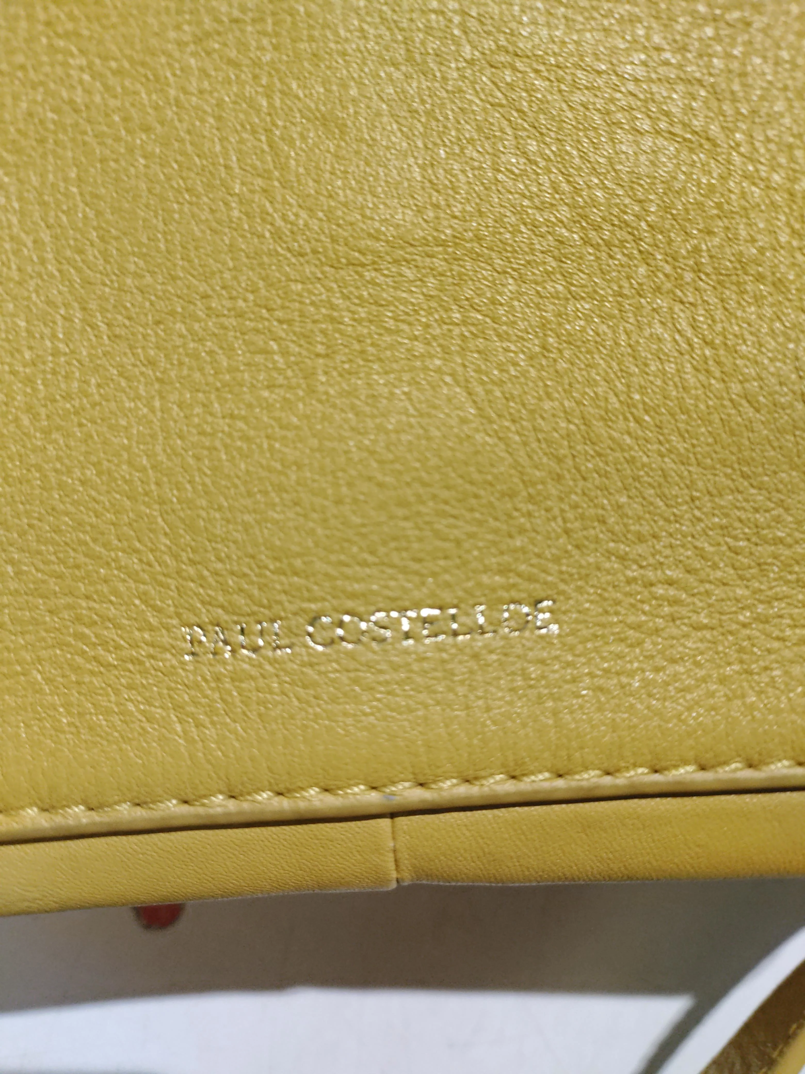 Paul Costelloe Women's Bag Yellow 100% Leather Crossbody - Image 5