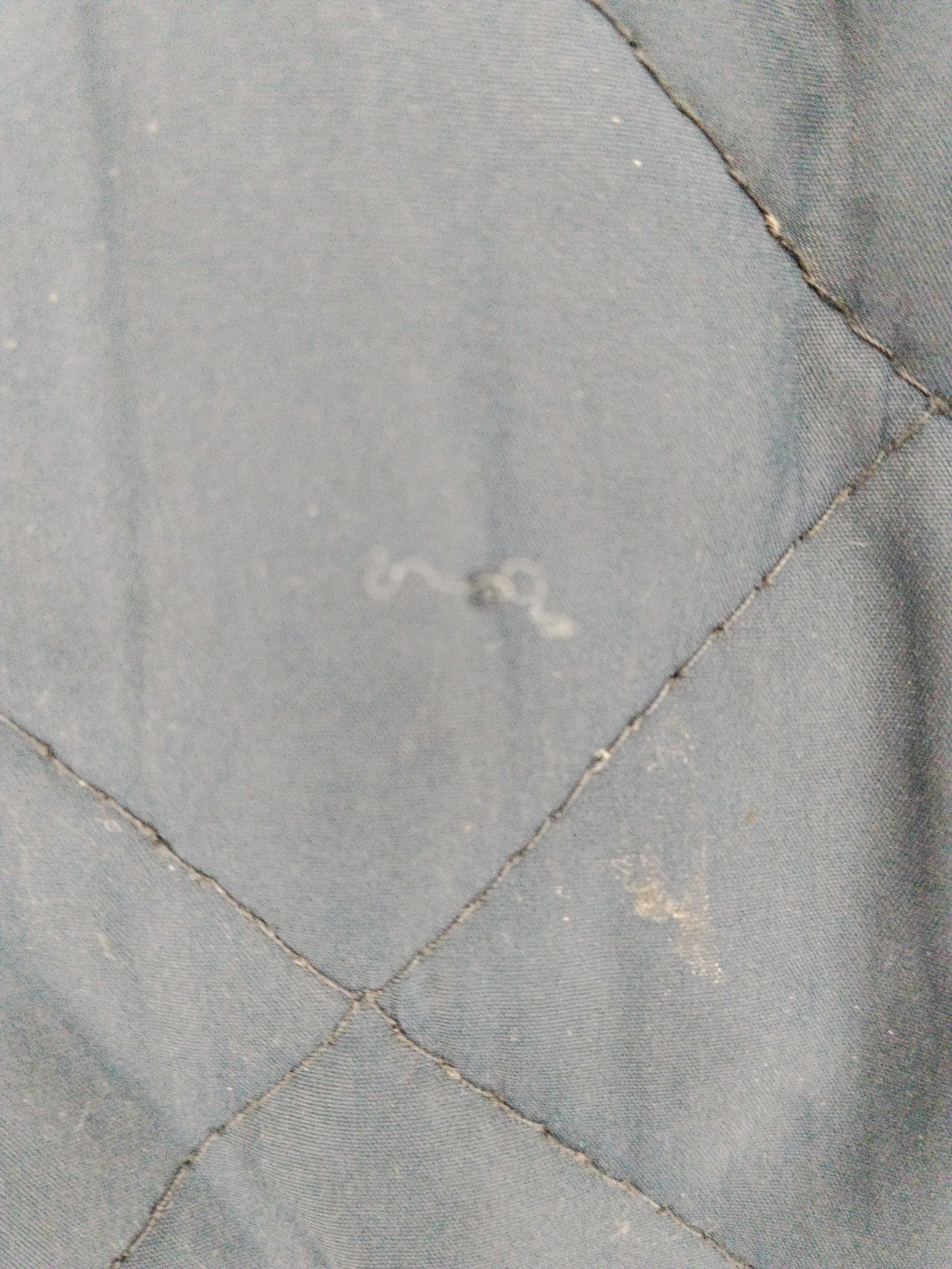 Regatta Bomber Jacket jacket blue - Image 6